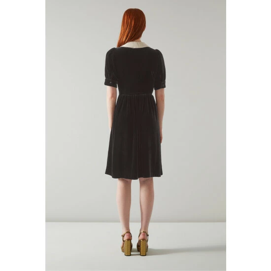 unnamed-file-1024.jpg LK Bennett LKBennett Mimi Black Velvet Contrast Collar Dress -LK Bennett Shop unnamed file 1024